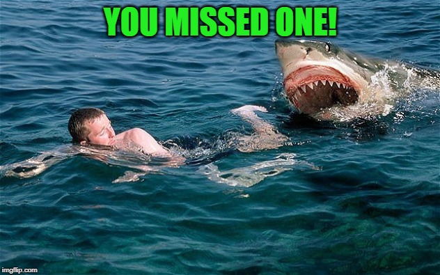 Swimming with sharks | YOU MISSED ONE! | image tagged in swimming with sharks | made w/ Imgflip meme maker