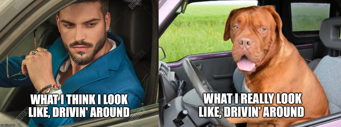 What I think I look like, drivin' around | WHAT I REALLY LOOK LIKE, DRIVIN' AROUND; WHAT I THINK I LOOK LIKE, DRIVIN' AROUND | image tagged in aging,middle-age,disillusionment,style | made w/ Imgflip meme maker