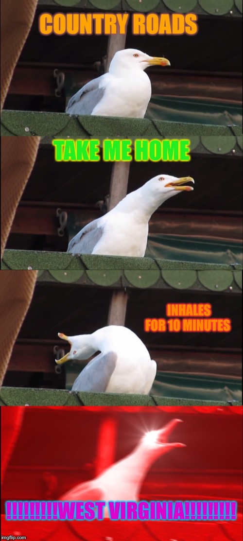 Inhaling Seagull | COUNTRY ROADS; TAKE ME HOME; INHALES FOR 10 MINUTES; !!!!!!!!!WEST VIRGINIA!!!!!!!!! | image tagged in memes,inhaling seagull | made w/ Imgflip meme maker