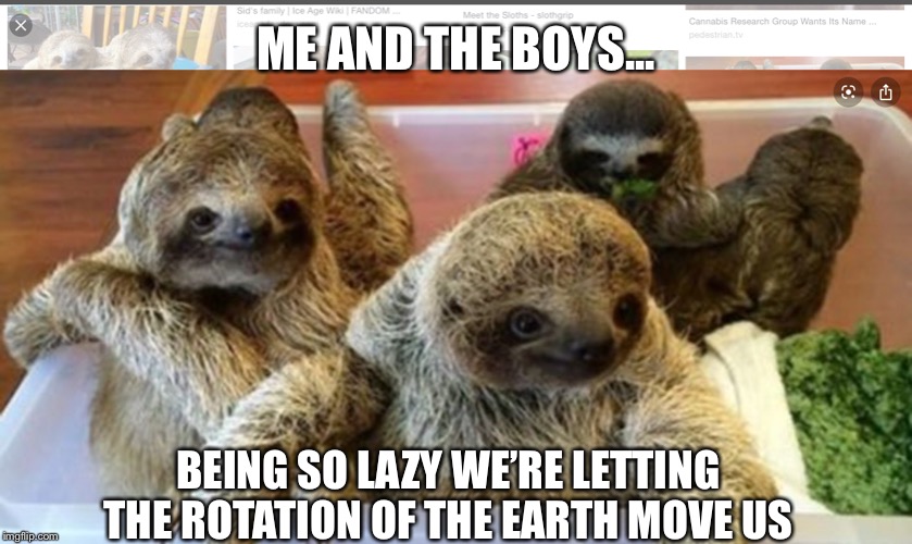 ME AND THE BOYS... BEING SO LAZY WE’RE LETTING THE ROTATION OF THE EARTH MOVE US | image tagged in sloths | made w/ Imgflip meme maker