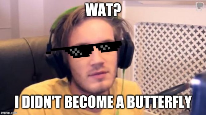 Pewdiepie | WAT? I DIDN'T BECOME A BUTTERFLY | image tagged in pewdiepie | made w/ Imgflip meme maker