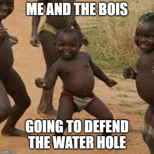 Me and the bois week! | ME AND THE BOIS; GOING TO DEFEND THE WATER HOLE | image tagged in memes,third world success kid | made w/ Imgflip meme maker
