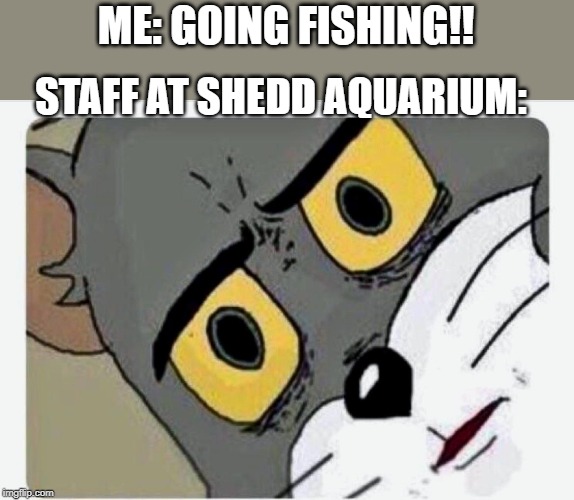 Disturbed Tom | ME: GOING FISHING!! STAFF AT SHEDD AQUARIUM: | image tagged in disturbed tom | made w/ Imgflip meme maker