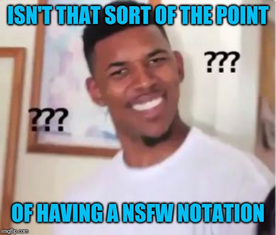 Nick Young | ISN'T THAT SORT OF THE POINT OF HAVING A NSFW NOTATION | image tagged in nick young | made w/ Imgflip meme maker