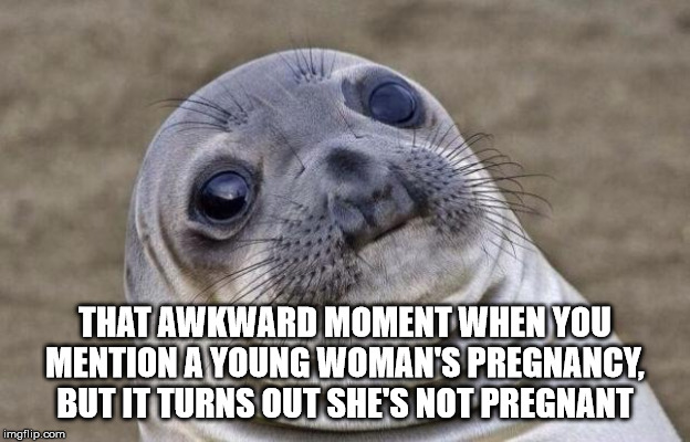 She's not pregnant | THAT AWKWARD MOMENT WHEN YOU MENTION A YOUNG WOMAN'S PREGNANCY, BUT IT TURNS OUT SHE'S NOT PREGNANT | image tagged in memes,awkward moment sealion,not pregnant,preggers | made w/ Imgflip meme maker