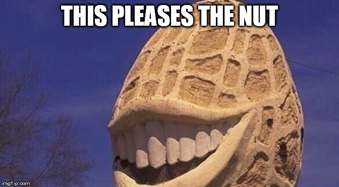 This Pleases The Nut | THIS PLEASES THE NUT | image tagged in this pleases the nut | made w/ Imgflip meme maker