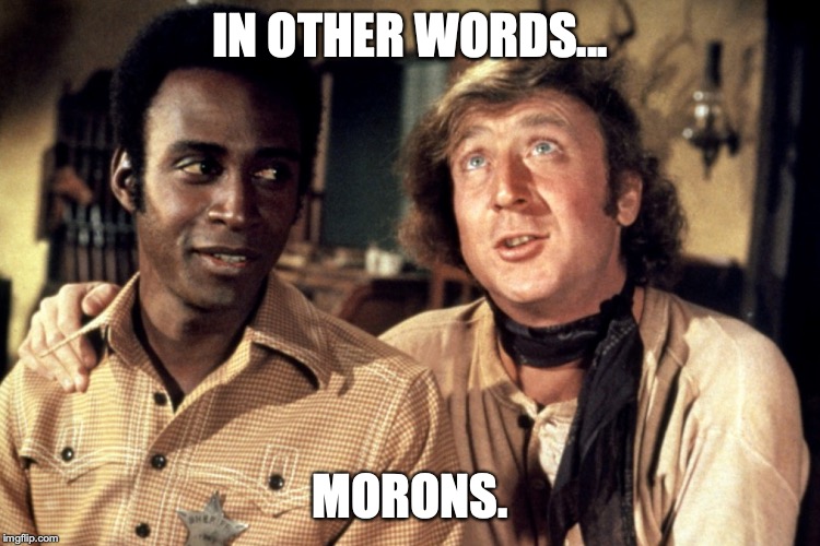 Blazing Saddles Morons | IN OTHER WORDS... MORONS. | image tagged in blazing saddles morons | made w/ Imgflip meme maker