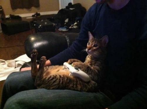 image tagged in funny