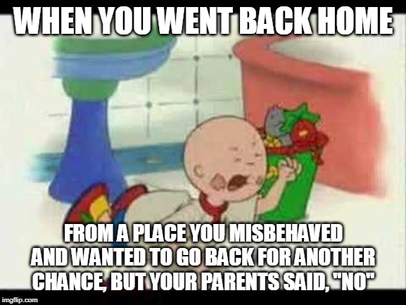Caillou's Tantrum | WHEN YOU WENT BACK HOME; FROM A PLACE YOU MISBEHAVED AND WANTED TO GO BACK FOR ANOTHER CHANCE, BUT YOUR PARENTS SAID, "NO" | image tagged in caillou's tantrum | made w/ Imgflip meme maker