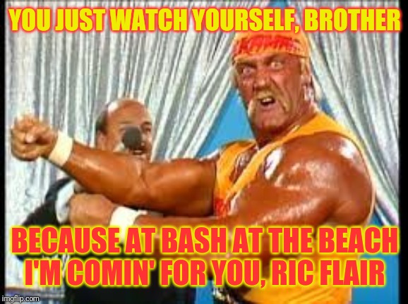hulk hogan | YOU JUST WATCH YOURSELF, BROTHER BECAUSE AT BASH AT THE BEACH I'M COMIN' FOR YOU, RIC FLAIR | image tagged in hulk hogan | made w/ Imgflip meme maker