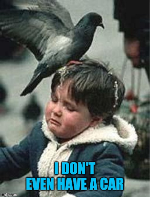 Bird Poop Blues | I DON'T EVEN HAVE A CAR | image tagged in bird poop blues | made w/ Imgflip meme maker