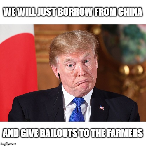 Seriously, wtf? | WE WILL JUST BORROW FROM CHINA; AND GIVE BAILOUTS TO THE FARMERS | image tagged in trump dumbfounded,maga,idiot,impeach trump,politics | made w/ Imgflip meme maker