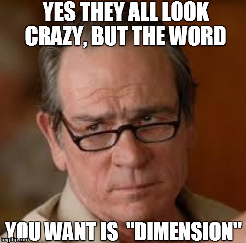 YES THEY ALL LOOK CRAZY, BUT THE WORD YOU WANT IS  "DIMENSION" | made w/ Imgflip meme maker