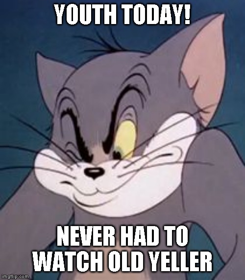 Tom cat | YOUTH TODAY! NEVER HAD TO WATCH OLD YELLER | image tagged in tom cat | made w/ Imgflip meme maker