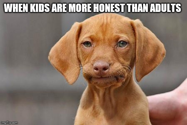 Dissapointed puppy | WHEN KIDS ARE MORE HONEST THAN ADULTS | image tagged in dissapointed puppy | made w/ Imgflip meme maker