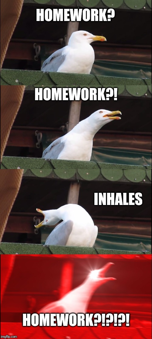 Inhaling Seagull Meme | HOMEWORK? HOMEWORK?! INHALES; HOMEWORK?!?!?! | image tagged in memes,inhaling seagull | made w/ Imgflip meme maker