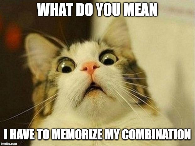 Scared Cat | WHAT DO YOU MEAN; I HAVE TO MEMORIZE MY COMBINATION | image tagged in memes,scared cat | made w/ Imgflip meme maker