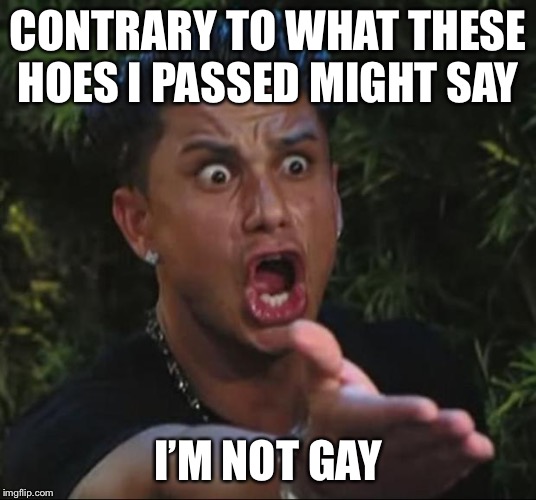 DJ Pauly D Meme | CONTRARY TO WHAT THESE HOES I PASSED MIGHT SAY I’M NOT GAY | image tagged in memes,dj pauly d | made w/ Imgflip meme maker