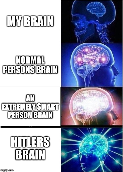 Expanding Brain | MY BRAIN; NORMAL PERSONS BRAIN; AN EXTREMELY SMART PERSON BRAIN; HITLERS BRAIN | image tagged in memes,expanding brain | made w/ Imgflip meme maker