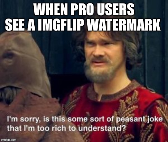 WHEN PRO USERS SEE A IMGFLIP WATERMARK | image tagged in memes | made w/ Imgflip meme maker