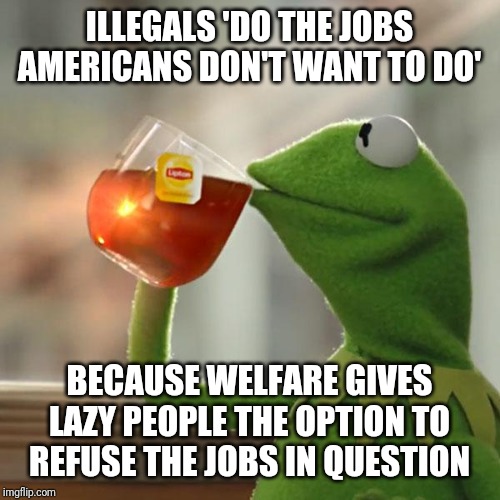 But That's None Of My Business | ILLEGALS 'DO THE JOBS AMERICANS DON'T WANT TO DO'; BECAUSE WELFARE GIVES LAZY PEOPLE THE OPTION TO REFUSE THE JOBS IN QUESTION | image tagged in memes,but thats none of my business,kermit the frog | made w/ Imgflip meme maker