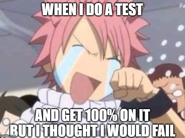 Done IT.. Dang.... | WHEN I DO A TEST; AND GET 100% ON IT BUT I THOUGHT I WOULD FAIL | image tagged in anime natsu fairy tail happy crying | made w/ Imgflip meme maker