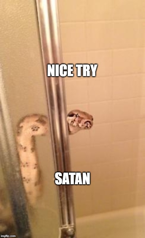 snakeshower | NICE TRY; SATAN | image tagged in snakeshower,snakey,funny satan | made w/ Imgflip meme maker
