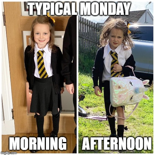 Manic Monday | TYPICAL MONDAY; AFTERNOON; MORNING | image tagged in work | made w/ Imgflip meme maker