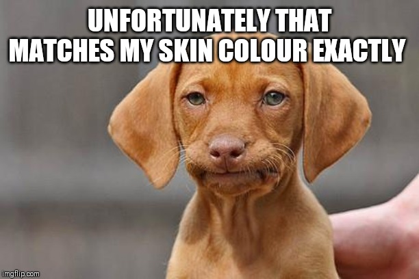 Dissapointed puppy | UNFORTUNATELY THAT MATCHES MY SKIN COLOUR EXACTLY | image tagged in dissapointed puppy | made w/ Imgflip meme maker