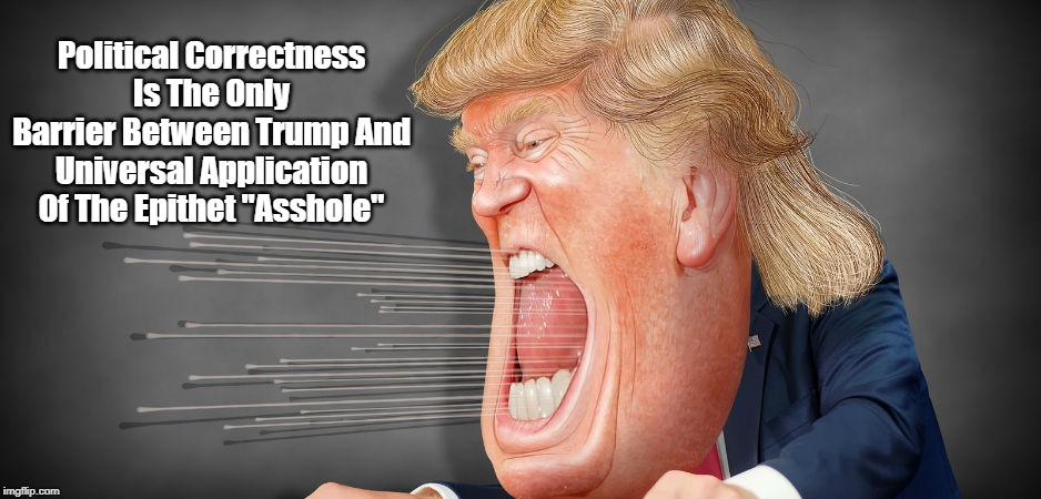 Political Correctness Is The Only Barrier Between Trump And Universal Application Of The Epithet "Asshole" | made w/ Imgflip meme maker