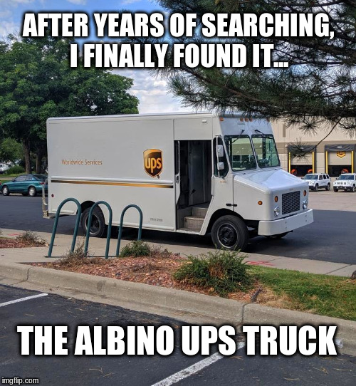 The Elusive Albino UPS Truck | AFTER YEARS OF SEARCHING, I FINALLY FOUND IT... THE ALBINO UPS TRUCK | image tagged in ups,albino,funny meme | made w/ Imgflip meme maker