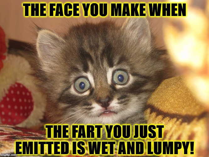 FACE YOU MAKE | THE FACE YOU MAKE WHEN; THE FART YOU JUST EMITTED IS WET AND LUMPY! | image tagged in face you make | made w/ Imgflip meme maker