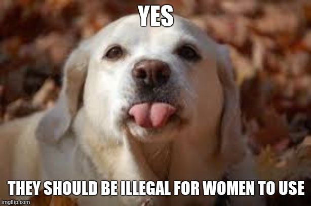 Dog Sticking Tongue Out | YES THEY SHOULD BE ILLEGAL FOR WOMEN TO USE | image tagged in dog sticking tongue out | made w/ Imgflip meme maker