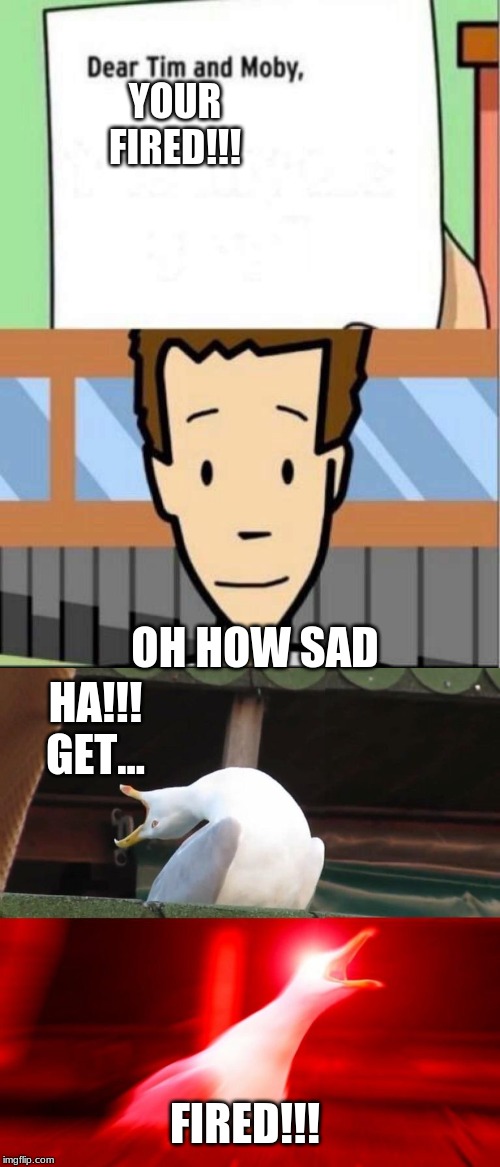 YOUR FIRED!!! OH HOW SAD; HA!!! GET... FIRED!!! | image tagged in inhalin seagull,dear tim | made w/ Imgflip meme maker
