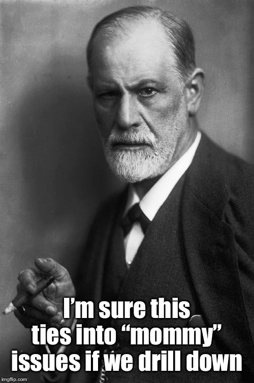Sigmund Freud Meme | I’m sure this ties into “mommy” issues if we drill down | image tagged in memes,sigmund freud | made w/ Imgflip meme maker