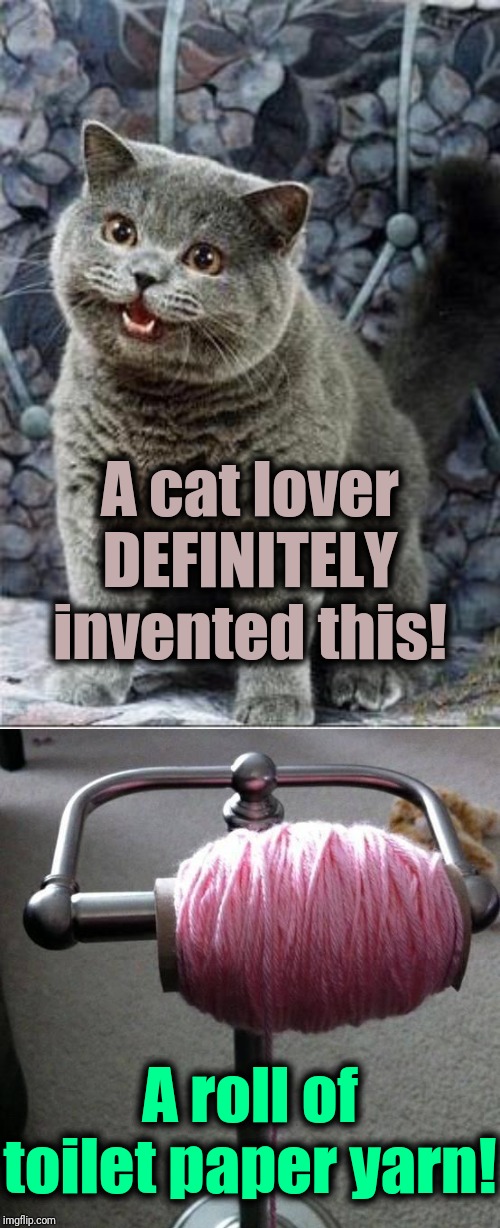 A cat lover DEFINITELY invented this! A roll of toilet paper yarn! | image tagged in toilet paper yarn,incredible,cats | made w/ Imgflip meme maker