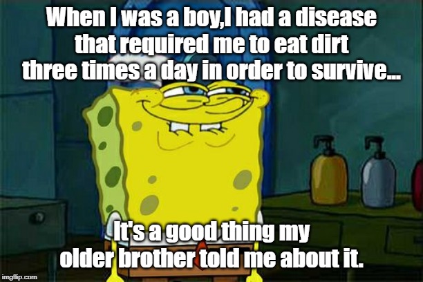 When i was a boy | When I was a boy,I had a disease that required me to eat dirt three times a day in order to survive... It's a good thing my older brother told me about it. | image tagged in funny | made w/ Imgflip meme maker