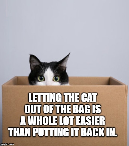cat in a box | LETTING THE CAT OUT OF THE BAG IS A WHOLE LOT EASIER THAN PUTTING IT BACK IN. | image tagged in cat | made w/ Imgflip meme maker