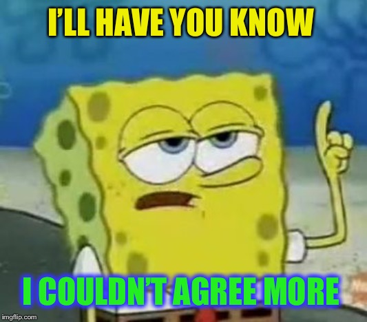 I'll Have You Know Spongebob Meme | I’LL HAVE YOU KNOW I COULDN’T AGREE MORE | image tagged in memes,ill have you know spongebob | made w/ Imgflip meme maker