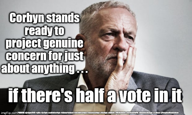 Corbyn - genuine concern | Corbyn stands ready to project genuine concern for just about anything . . . if there's half a vote in it; #JC4PMNOW #jc4pm2019 #gtto #jc4pm #cultofcorbyn #labourisdead #weaintcorbyn #wearecorbyn #Corbyn #Abbott #McDonnell #JC2frail2bPM #timeforchange #Labour @PeoplesMomentum | image tagged in cultofcorbyn,labourisdead,funny,jc4pmnow gtto jc4pm2019,communist socialist,anti-semite and a racist | made w/ Imgflip meme maker