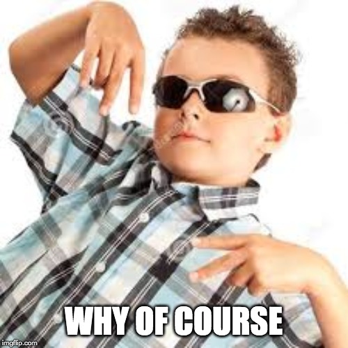 Cool kid sunglasses | WHY OF COURSE | image tagged in cool kid sunglasses | made w/ Imgflip meme maker
