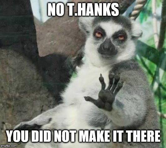 No thanks lemur | NO T.HANKS YOU DID NOT MAKE IT THERE | image tagged in no thanks lemur | made w/ Imgflip meme maker