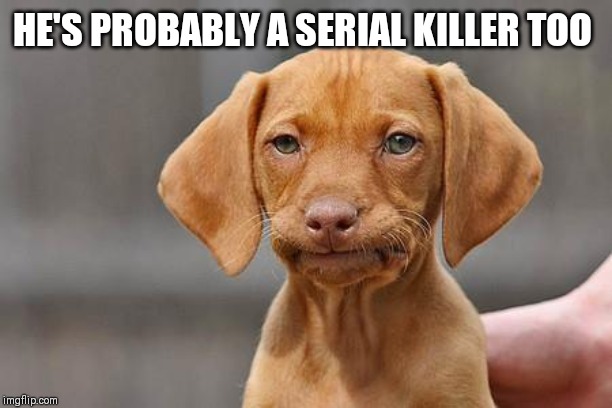 Dissapointed puppy | HE'S PROBABLY A SERIAL KILLER TOO | image tagged in dissapointed puppy | made w/ Imgflip meme maker