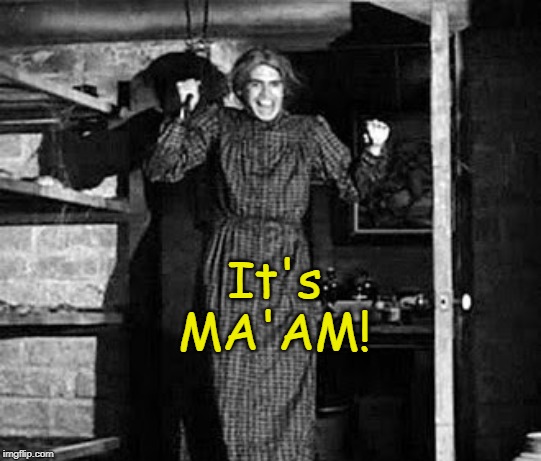 A real psycho, no? |  It's MA'AM! | image tagged in norman bates,psycho,it's ma'am,memes | made w/ Imgflip meme maker