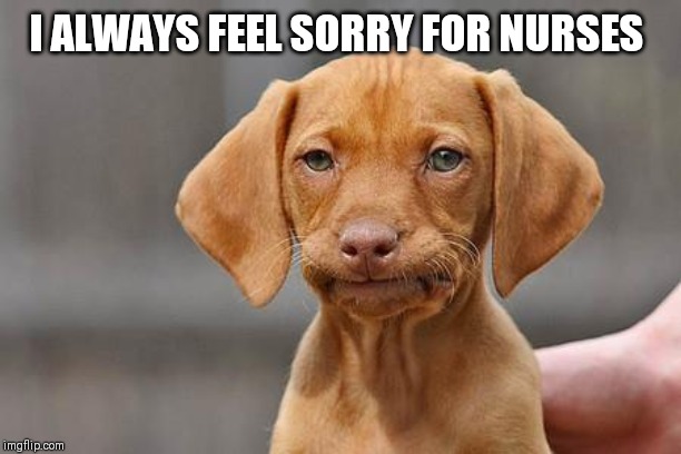 Dissapointed puppy | I ALWAYS FEEL SORRY FOR NURSES | image tagged in dissapointed puppy | made w/ Imgflip meme maker