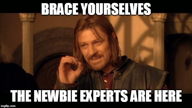 Sean Bean Lord Of The Rings | BRACE YOURSELVES; THE NEWBIE EXPERTS ARE HERE | image tagged in sean bean lord of the rings | made w/ Imgflip meme maker