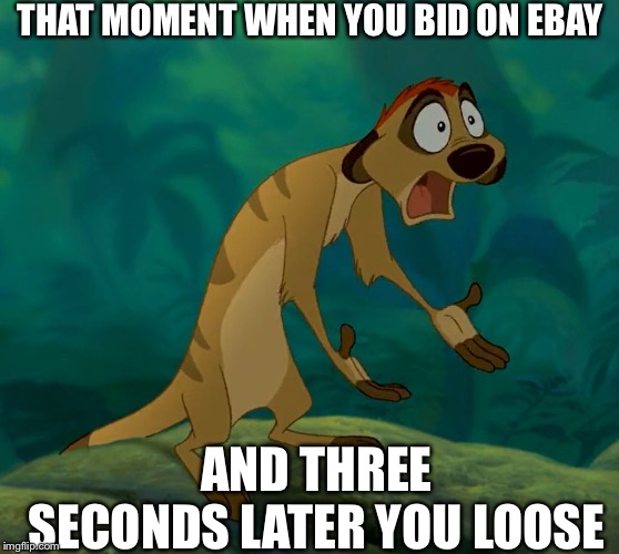 Baffled |  THAT MOMENT WHEN YOU BID ON EBAY; AND THREE SECONDS LATER YOU LOOSE | image tagged in baffled timon | made w/ Imgflip meme maker