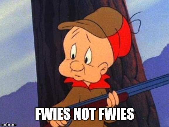 elmer fudd | FWIES NOT FWIES | image tagged in elmer fudd | made w/ Imgflip meme maker