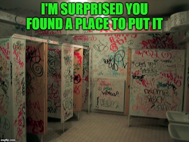 Vandalized School | I'M SURPRISED YOU FOUND A PLACE TO PUT IT | image tagged in vandalized school | made w/ Imgflip meme maker