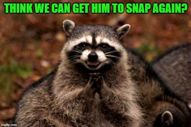 Evil Plotting Raccoon Meme | THINK WE CAN GET HIM TO SNAP AGAIN? | image tagged in memes,evil plotting raccoon | made w/ Imgflip meme maker